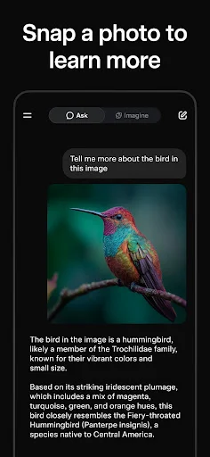Grok • Smartest AI Advisor screenshot 3